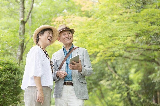 シニアプランを活用したお得な旅行方法