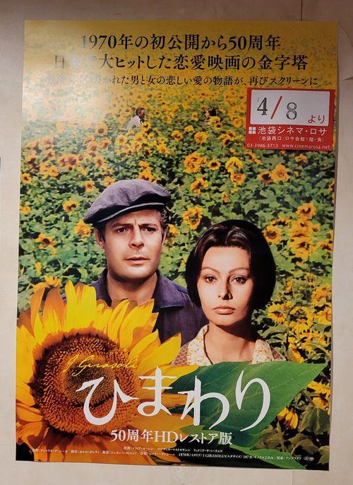 昭和映画の舞台を巡るロケ地散歩プラン
