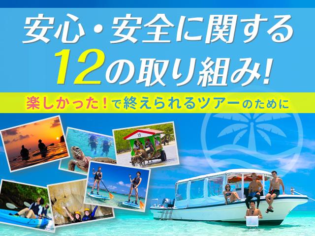 安心ツアーで体験できる魅力的なプラン紹介