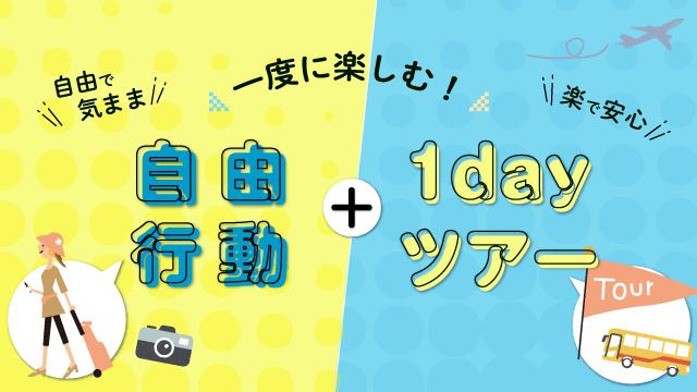 実際の参加者が語るツアー中の安心ポイント