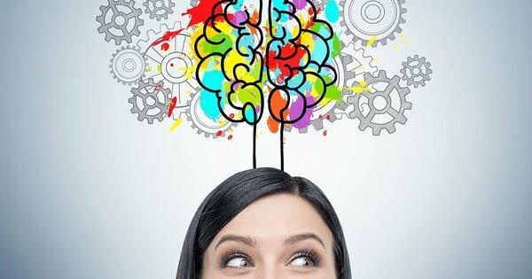 記憶力を高める成分の科学的メカニズムを探る
