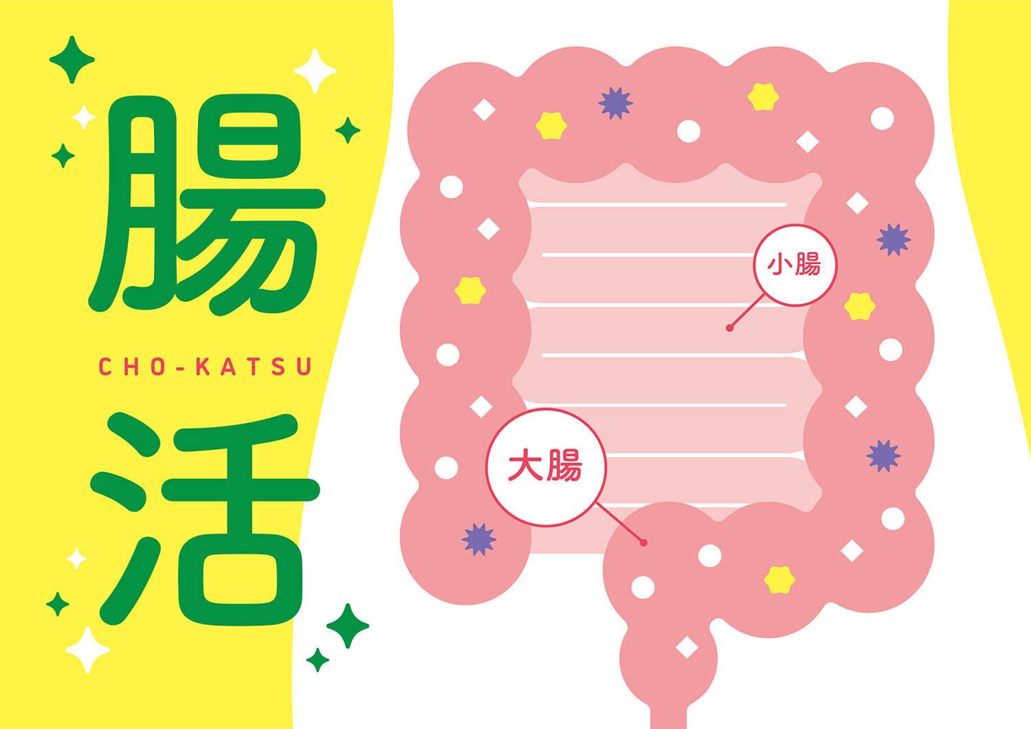 ストレスと腸の関係を理解して心身のバランスを整える