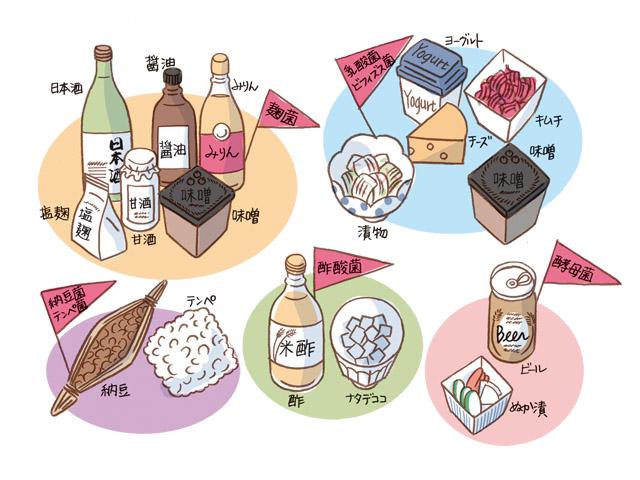 発酵食品がもたらす腸内環境改善と免疫力の関係