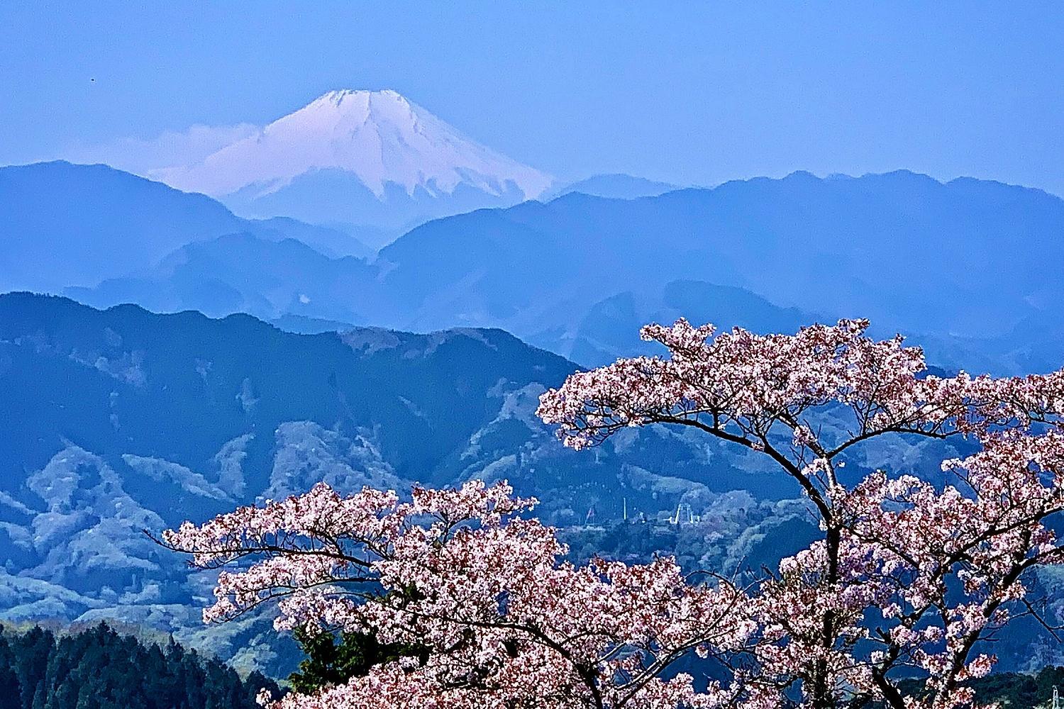 ゆったり過ごす山の景色と湯けむりの癒し時間