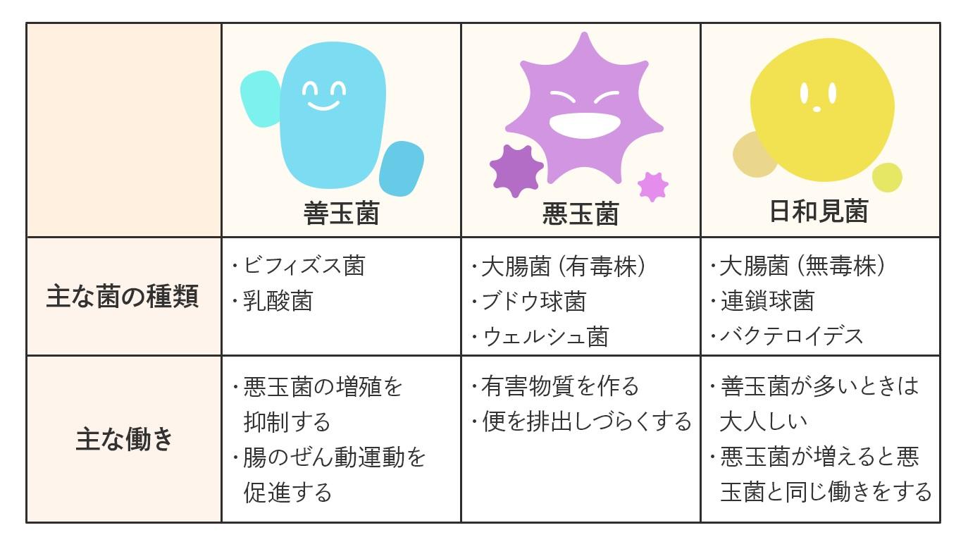 腸活成功のための実践的セルフケアポイント
