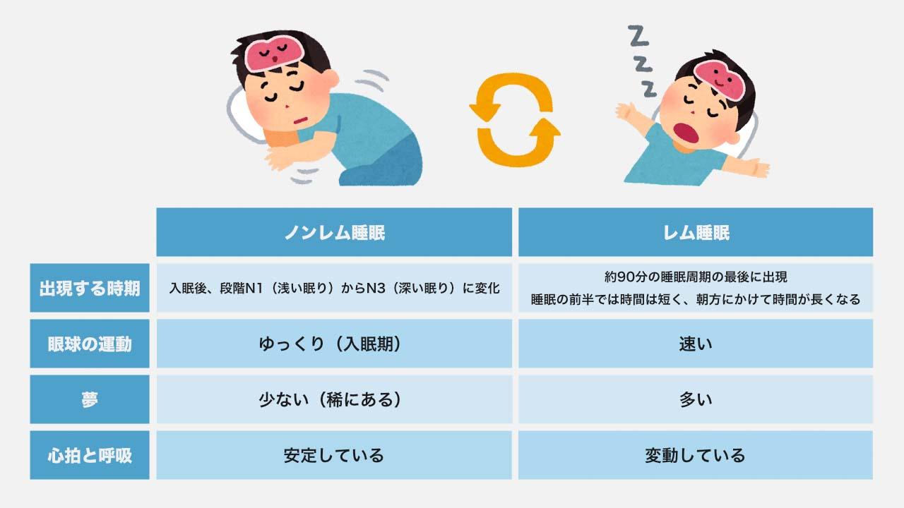 質の良い睡眠がダイエット成功に与える影響