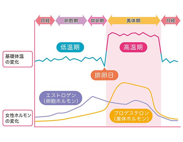 ホルモンバランスを整える食事と栄養のポイント