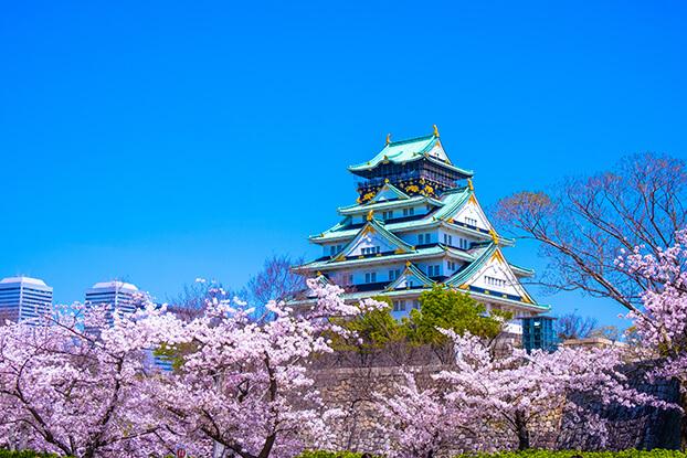 観光名所と合わせて巡る周辺の文化体験