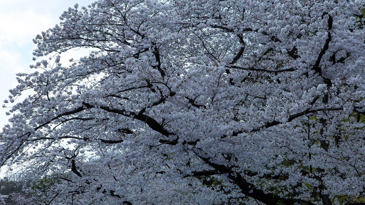 更年期イライラの原因と心身への影響を理解する
