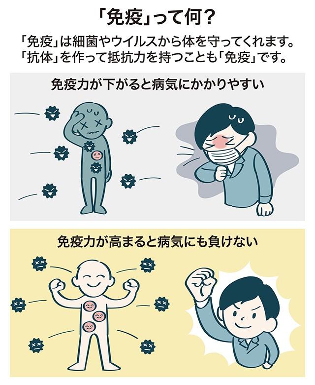 毎日の食事に取り入れやすい簡単な免疫力向上レシピ紹介