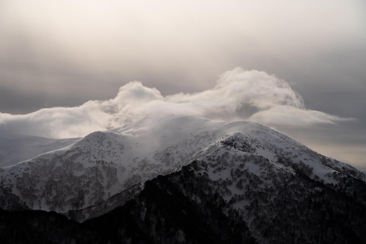 ピーク時の売上機会を逃さないために押さえるべき考え方