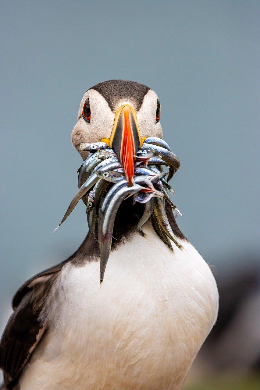 AIマーケティングツール15選:Eコマース成長を加速 2 AIマーケティングツールの基本と導入前に押さえておきたいポイント