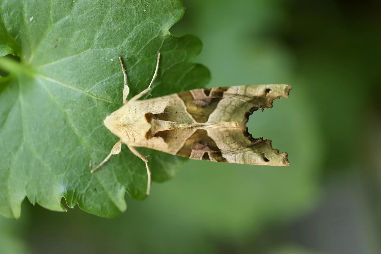 関連商品やおすすめ欄を活用した自然な内部リンクの増やし方