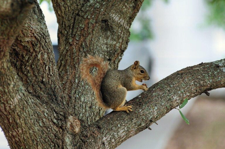 低在庫アラート設定の最適化テクニック