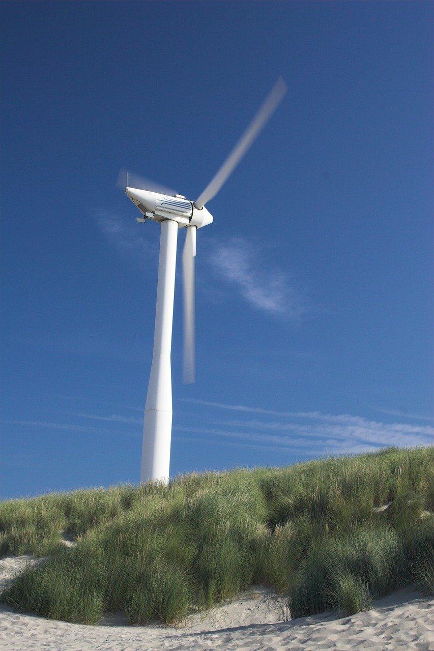 サステナビリティがECサイト運営にもたらすメリットとリスクの整理