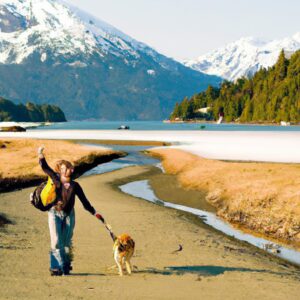 愛犬と楽しむ50代の旅時間：快適ペットトリップ術