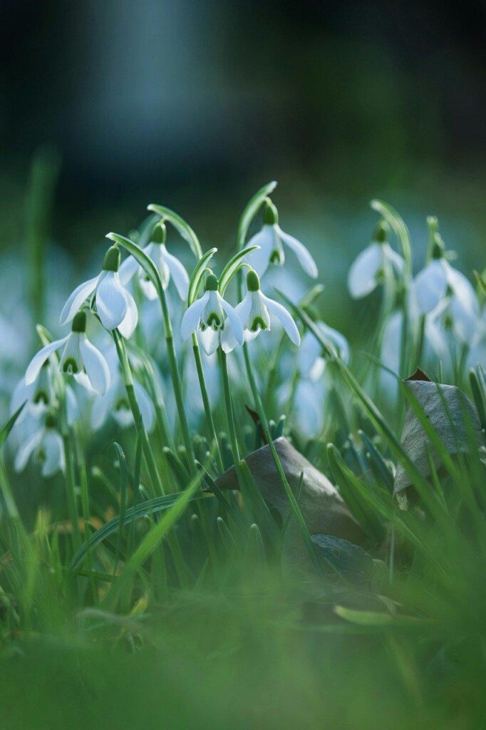 AIブログ生成と人間編集のベストミックス