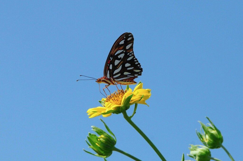 サブマーケット機能で細かなターゲティングが可能に