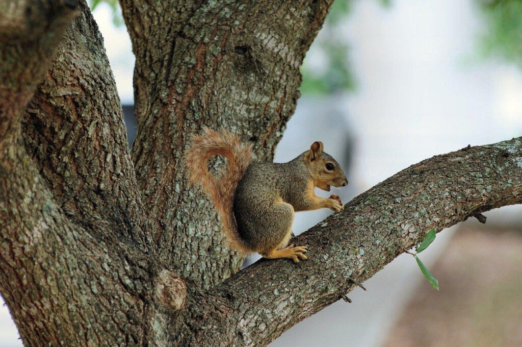 低在庫アラート設定の最適化テクニック